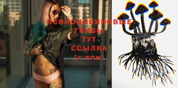 стаф Наволоки