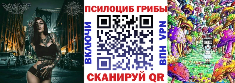 закладки  Бахчисарай  Псилоцибиновые грибы Cubensis 