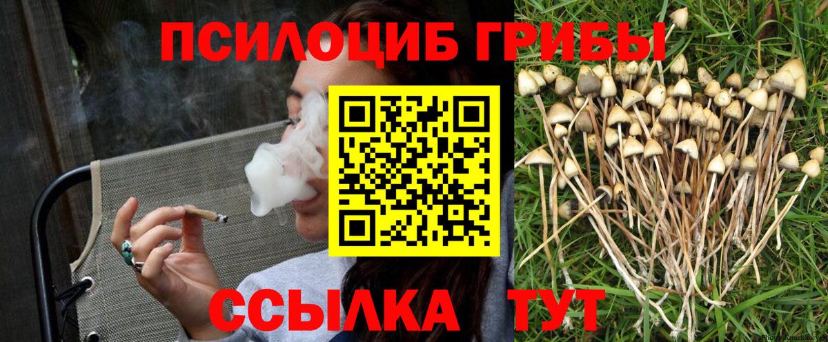 Галлюциногенные грибы Psilocybine cubensis  Галлюциногенные грибы GOLDEN TEACHER  Бахчисарай  Вход с VPN 