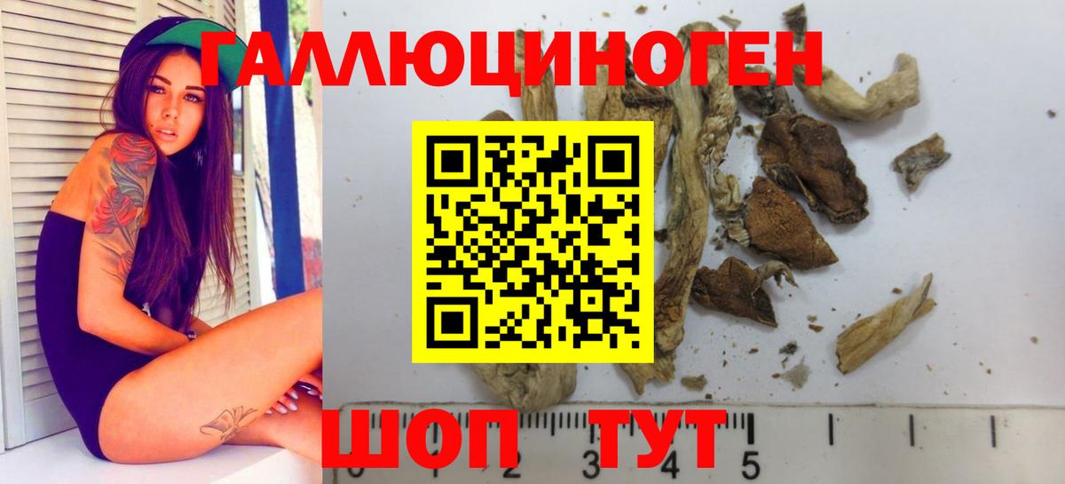 Псилоцибиновые грибы Psilocybe  где купить наркоту  Бахчисарай 
