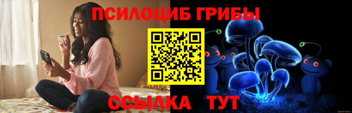 Псилоцибиновые грибы мицелий Бахчисарай