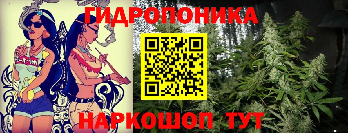 Каннабис планчик Бахчисарай